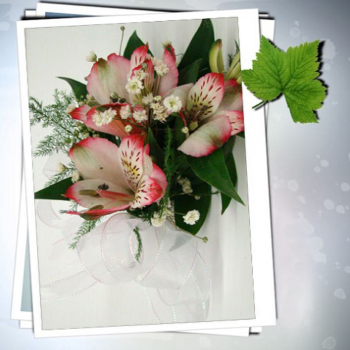 Alstroemeria Flowers-Corsage 15