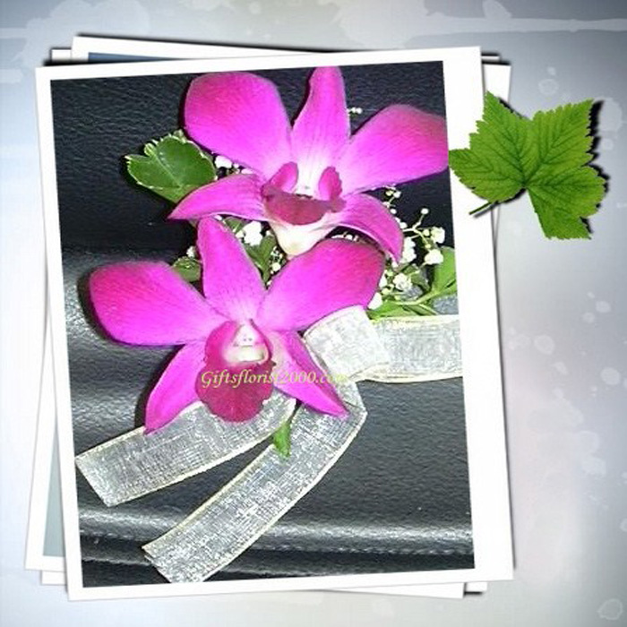 Dendrobium Orchid-Corsage 18