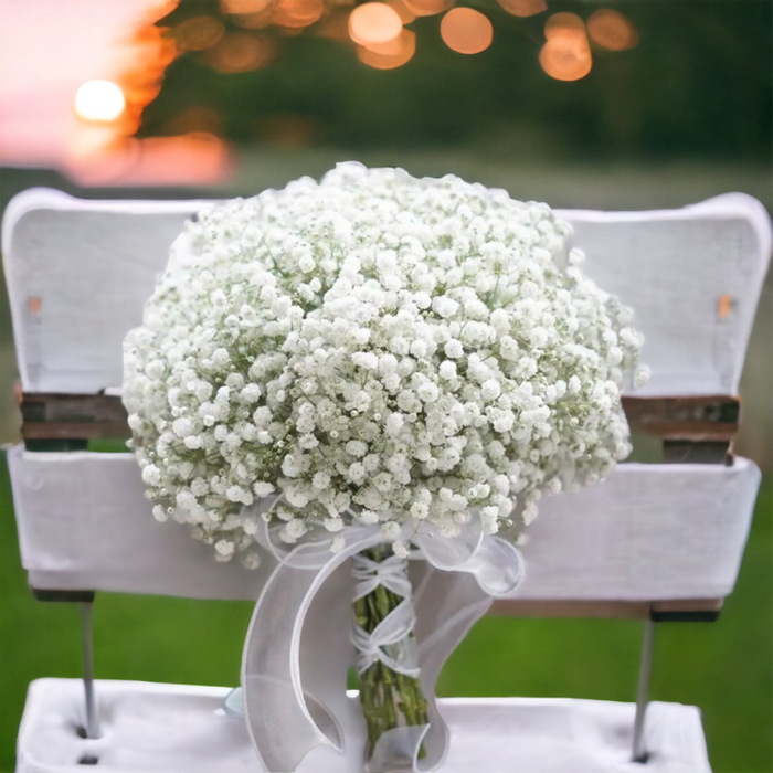 Posy Baby-breath Flowers-Bridal Bouquet B22