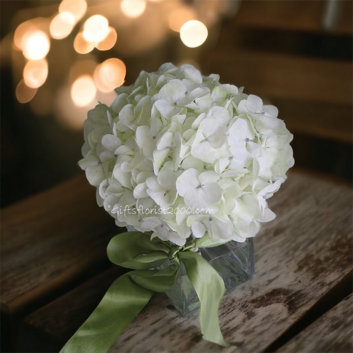 Hydrangea-Bridal Bouquet B9