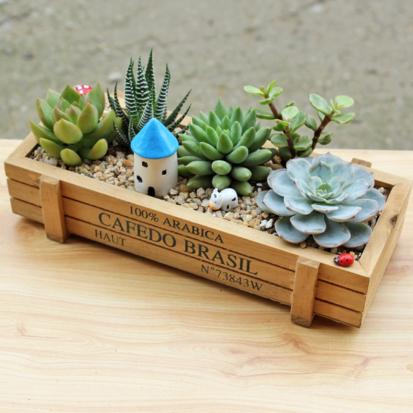 Miniature Garden Wooden Box-CPG10