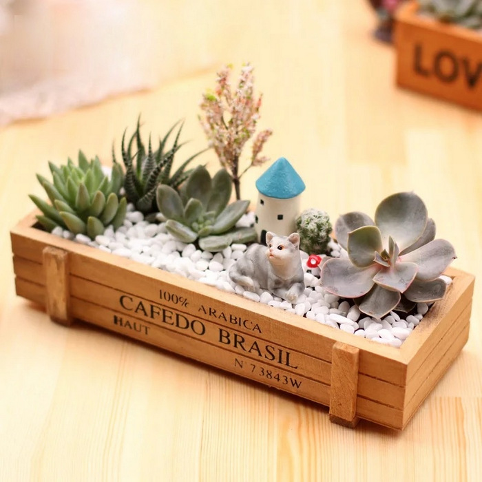 Miniature Garden Wooden Box-CPG10
