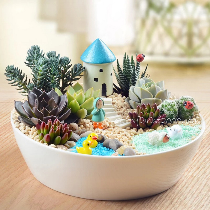 Moon River Miniature Garden -CPG7