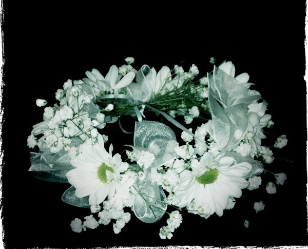 Fresh Flowers Crown White Daisy-Headpiece Flowers 6