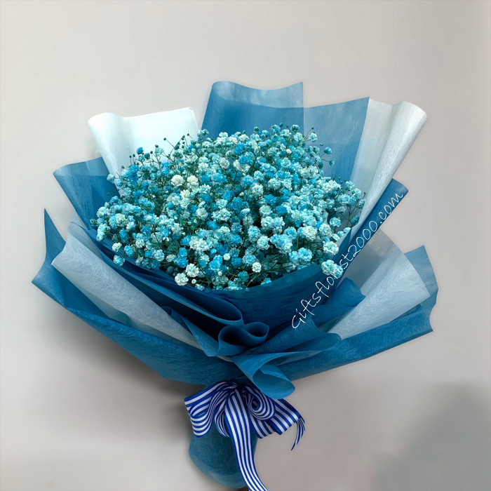 Baby-Breath Flowers In Blue