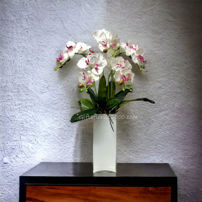 Classic Phalaenopsis Orchid-Silk Orchid Arrangement 1