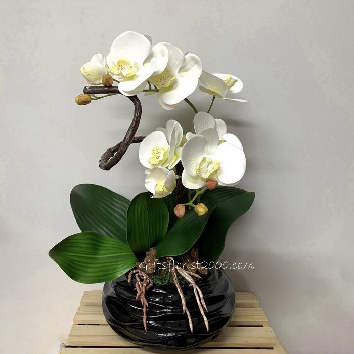 Charming White Orchid-Silk Orchid Arrangement 10