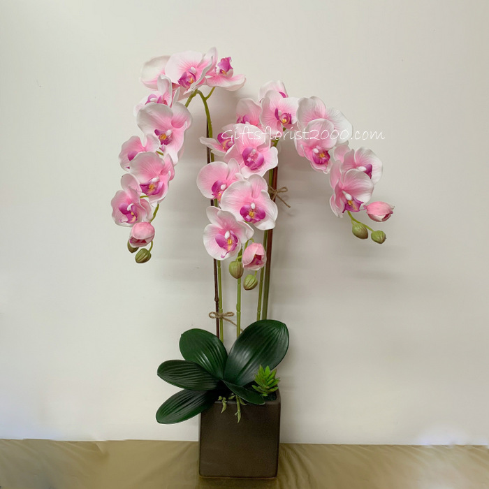 Butterfly Orchid Brown Pot-Silk Orchid Arrangement 6
