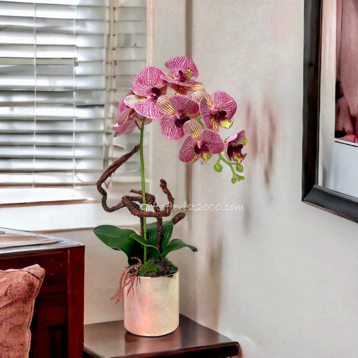 Black Vase Phalaenopsis-Silk Orchid Arrangement 9
