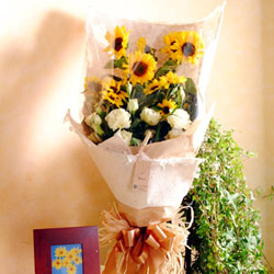 Sunflowers RosesSB9 SGD 6800