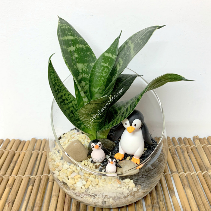 Penguins & Snake Plant-MG11