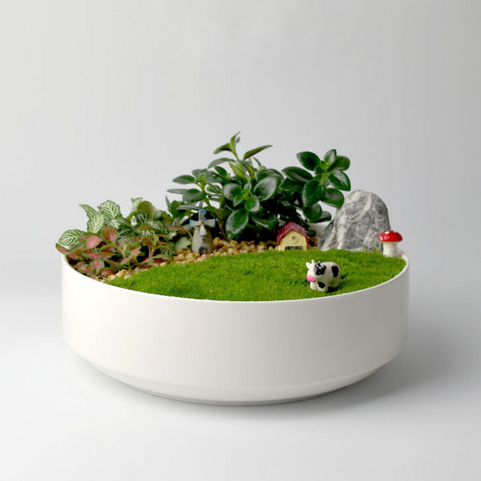 Calm & Zen Miniature Garden-MG42