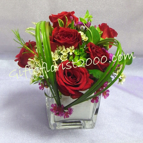 Classic Red Roses-VF12