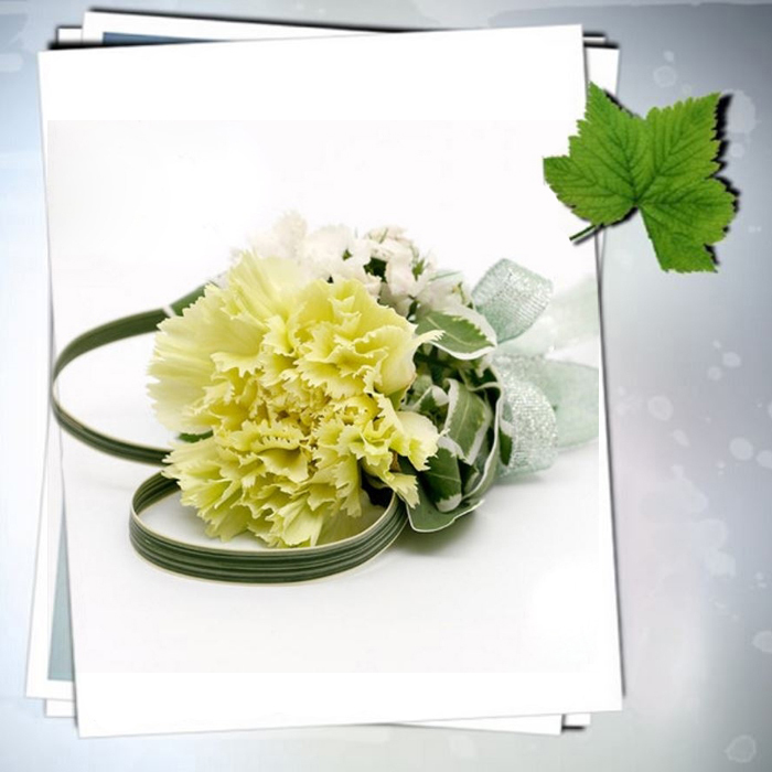 Single Carnation Flower-Corsage 13