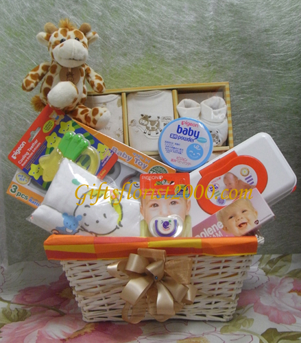 New Born Gift Basket