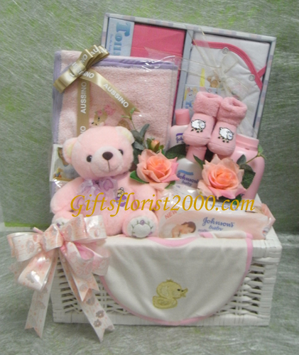 Congratulation Baby Girl Gift Basket Gbnb6