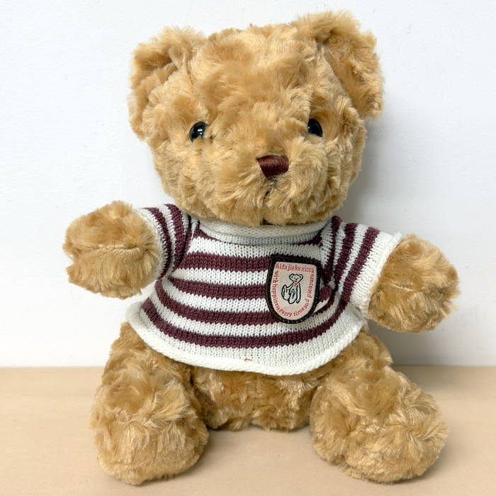 Teddy Bear With Shirt-B8