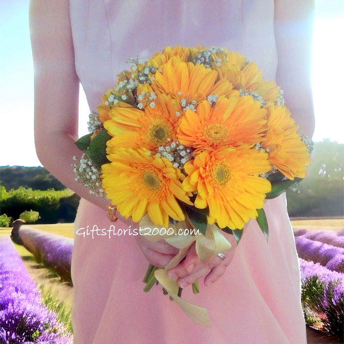 Gerbera Posy-Bridal Bouquet B13