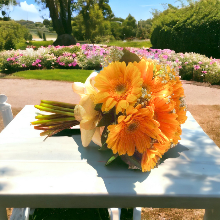 Gerbera Posy-Bridal Bouquet B13