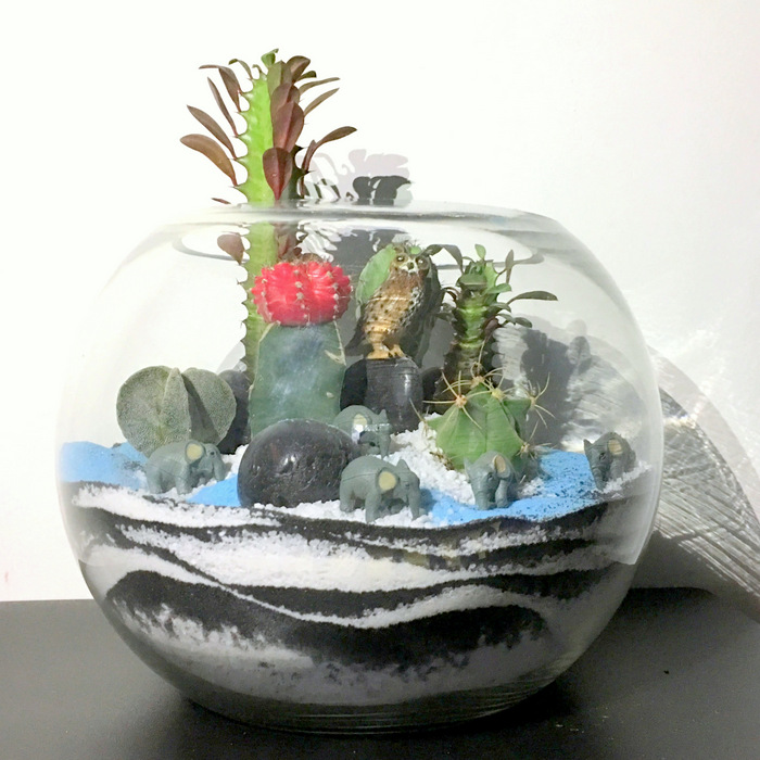 Elephants & Cactus Terrarium-CPG17