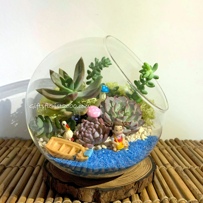 Beach Garden Succulent Terrarium-CPG4