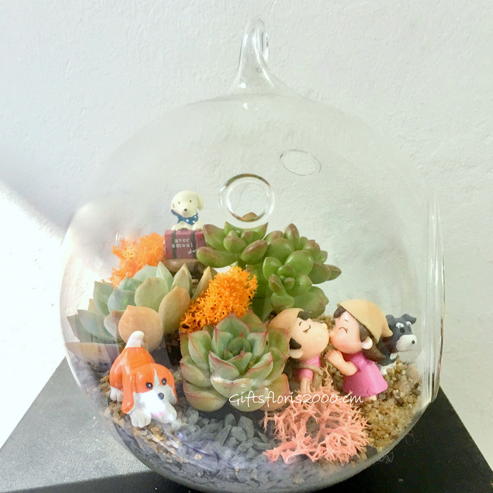 A Terrarium With Love-CPG5