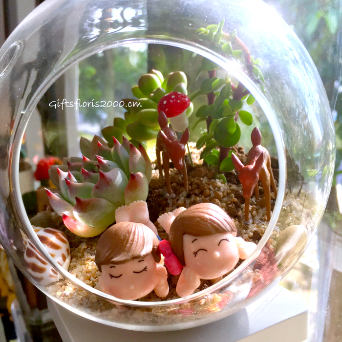 A Terrarium With Love-CPG5