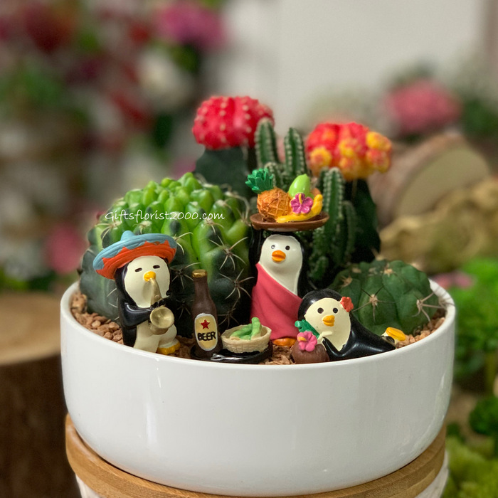 Cactus & Penguin Miniature Garden-CPG8