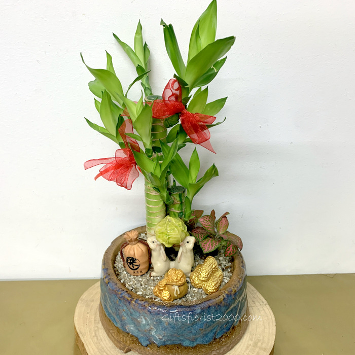 CNY2023 Special-Lucky Bamboo Arrangement 14