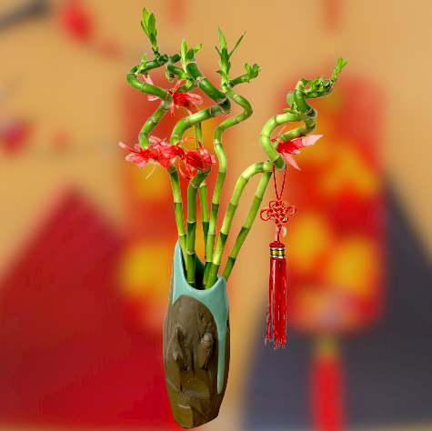 Good Fortune-Lucky Bamboo Arrangement 18
