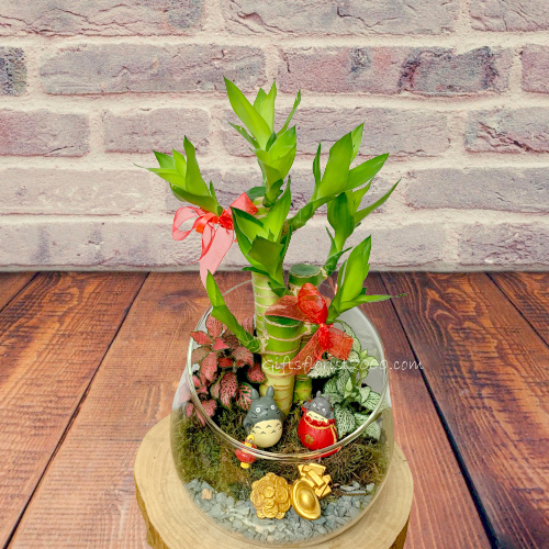 "Totoro Fortune Luck"-Lucky Bamboo Arrangement 1