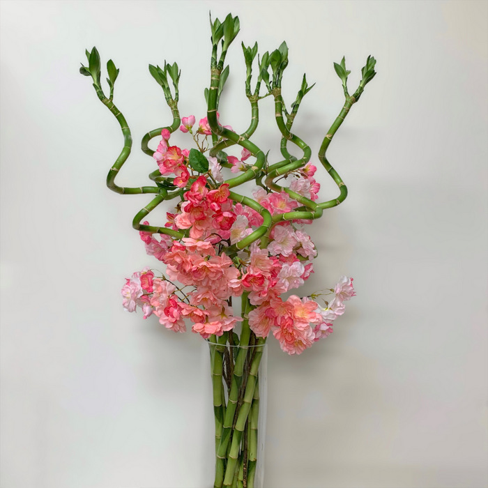 Celebrate Spring-Lucky Bamboo Arrangement 7