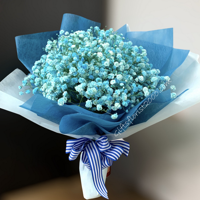 Baby-Breath Flowers In Blue