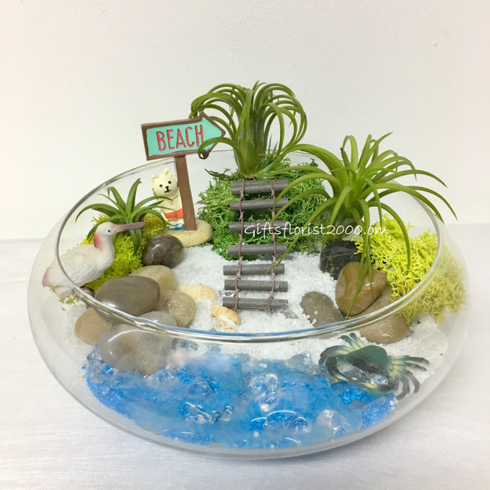 Beach Garden Air Plant Glass-AP1