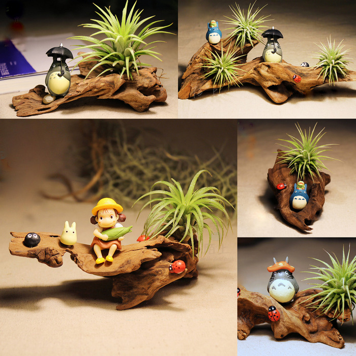 "Florist Pick" Air Plant & Totoro-AP15