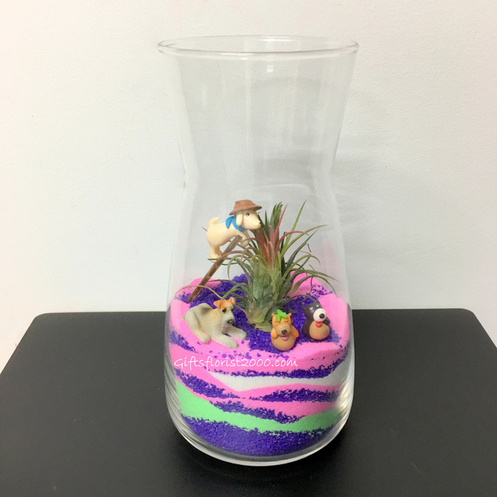 Air Plant Sands Art Terrarium-AP16