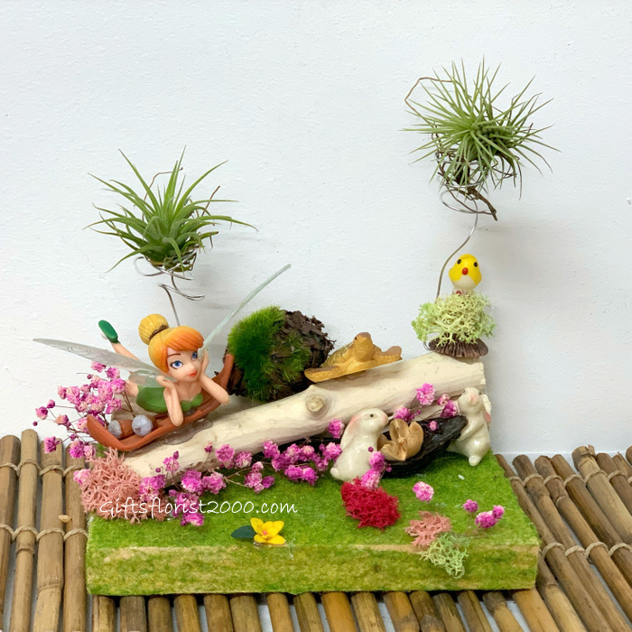 Air Plants & Tinker Bell-AP20