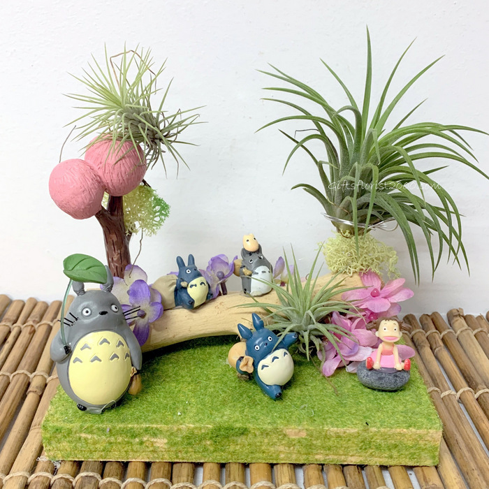 Air Plants, Totoro & Little Girl -AP4