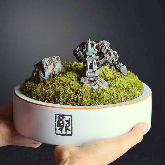 Bonsai-Simply Moss