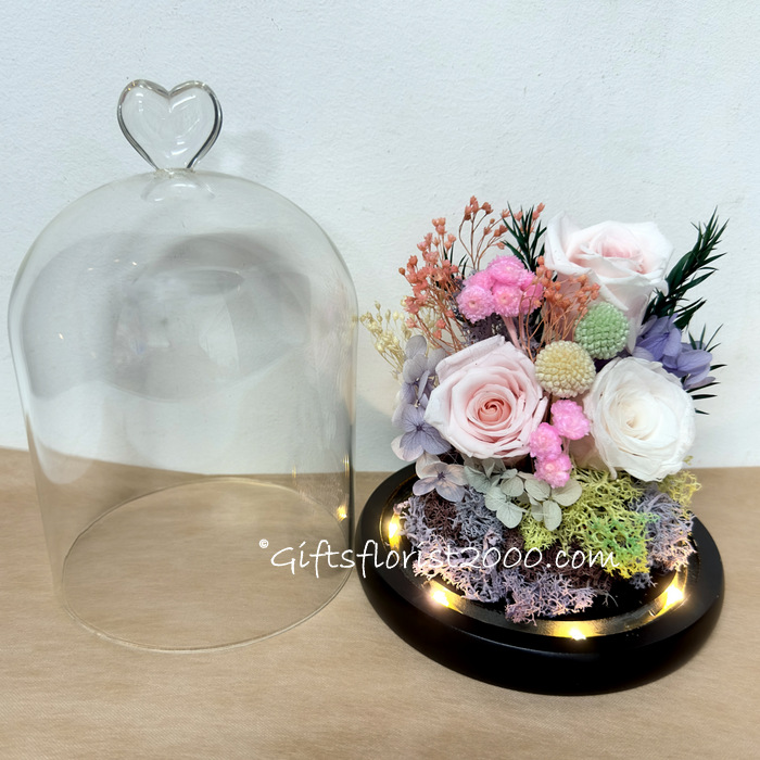 2024PR8-Preserved Flowers Dome
