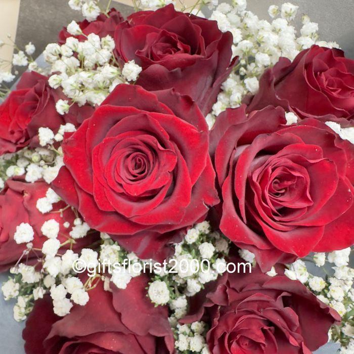 Two Dozen Roses With Light-RB14