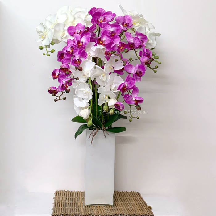 Big Pot Orchid-Silk Orchid Arrangement 12