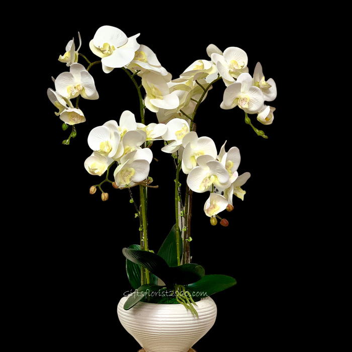 Classic White-Silk Orchid Arrangement 19