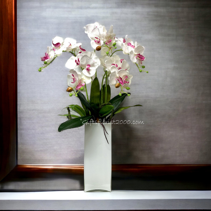 Classic Phalaenopsis Orchid-Silk Orchid Arrangement 1