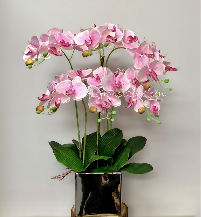 Phalaenopsis Pink Orchid-Silk Orchid Arrangement 20