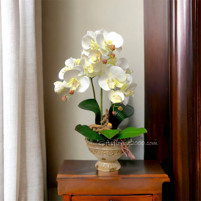 Classic Phalaenopsis Display-Silk Orchid Arrangement 5