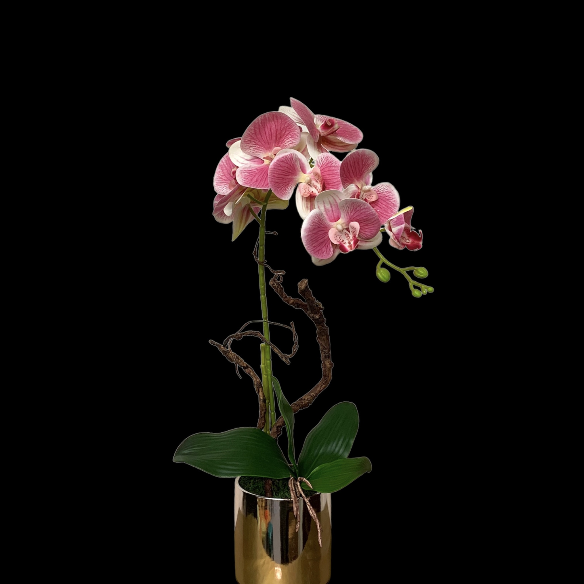 Butterfly Orchid Gold Vase-Silk Orchid Arrangement 7