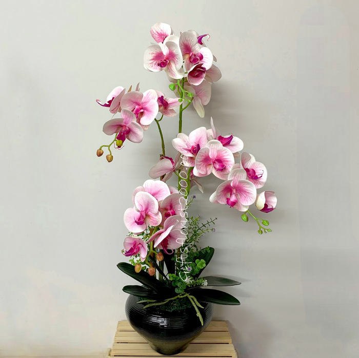 Phalaenopsis Black Pot-Silk Orchid Arrangement 8