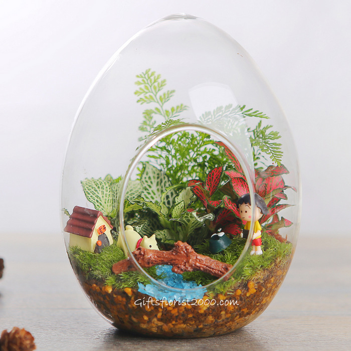 Egg-shaped Globe Terrarium-MG7