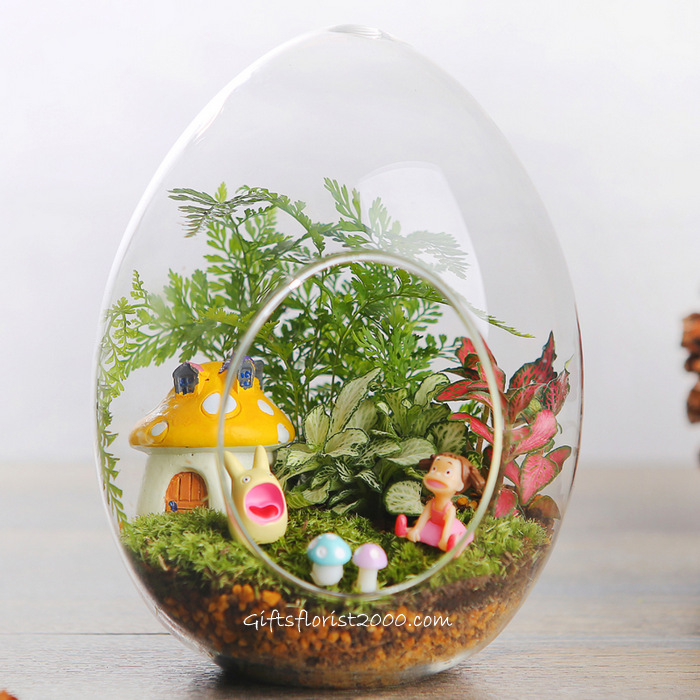 Egg-shaped Globe Terrarium-MG7